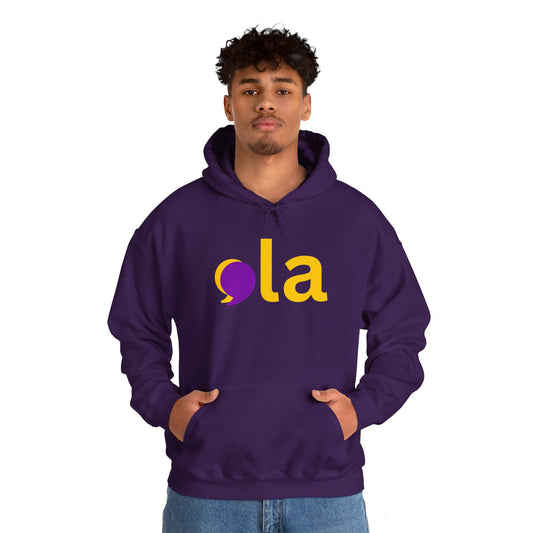 Comma La + 47 Unisex Heavy Blend™ Hoodie (10 Colors)